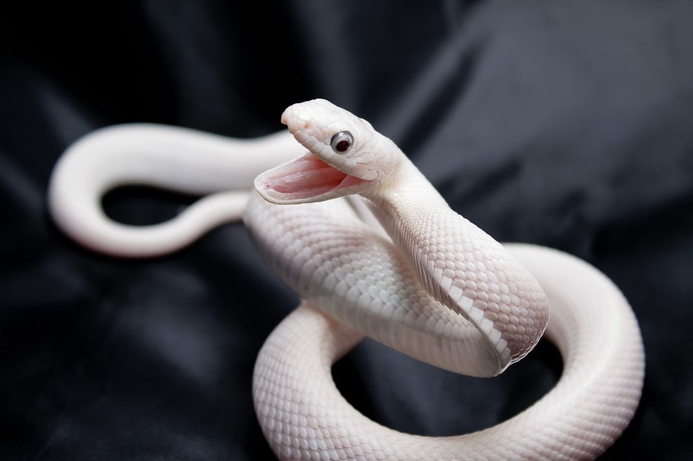 Photograph by Ольга Сельницына