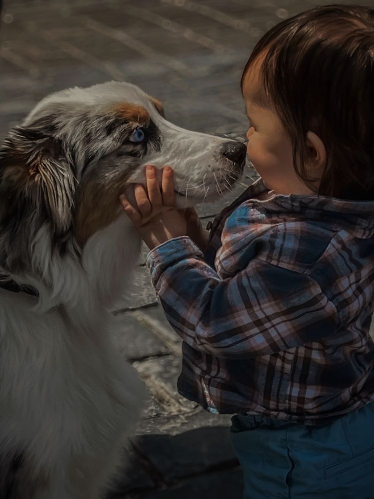 Photograph by Ganna Lobodenko