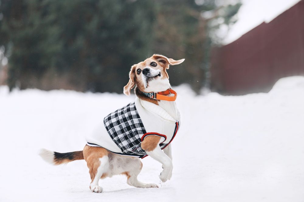 Photograph by Татьяна Степанова