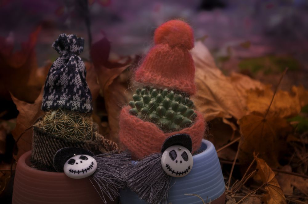 Photograph by Анастасия Блохина