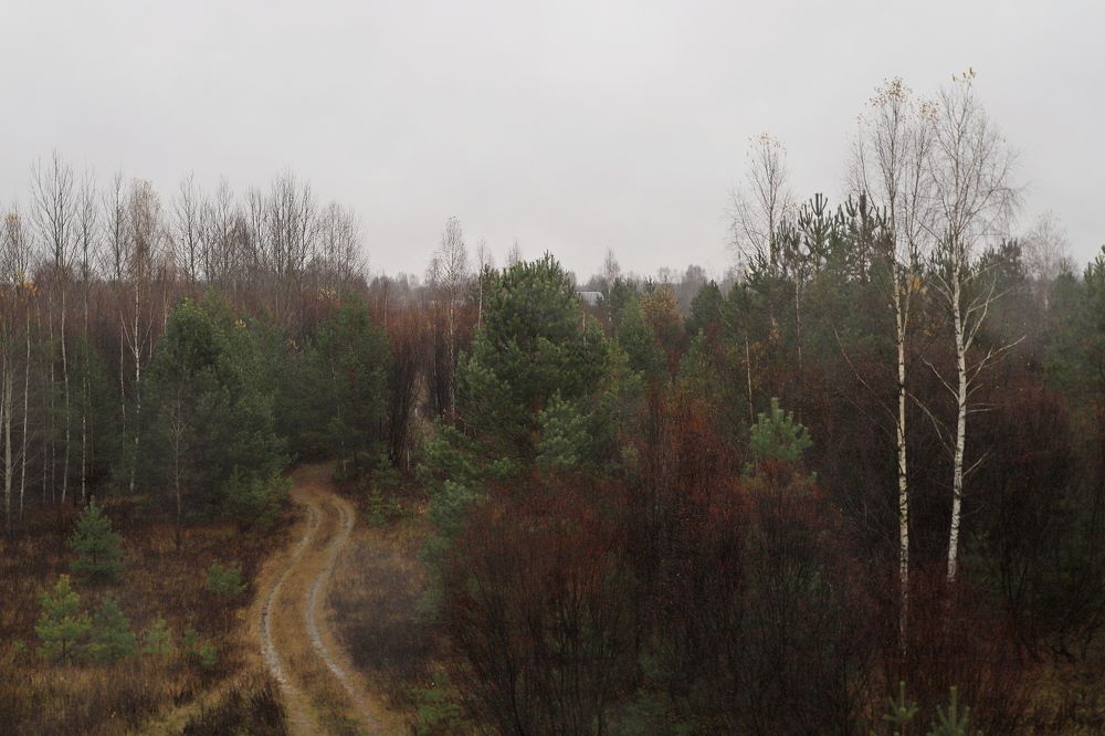 Photograph by Николай Круглов