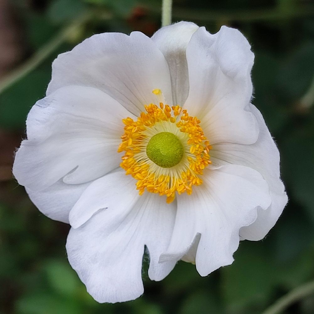 Photograph by Луиза Баширова