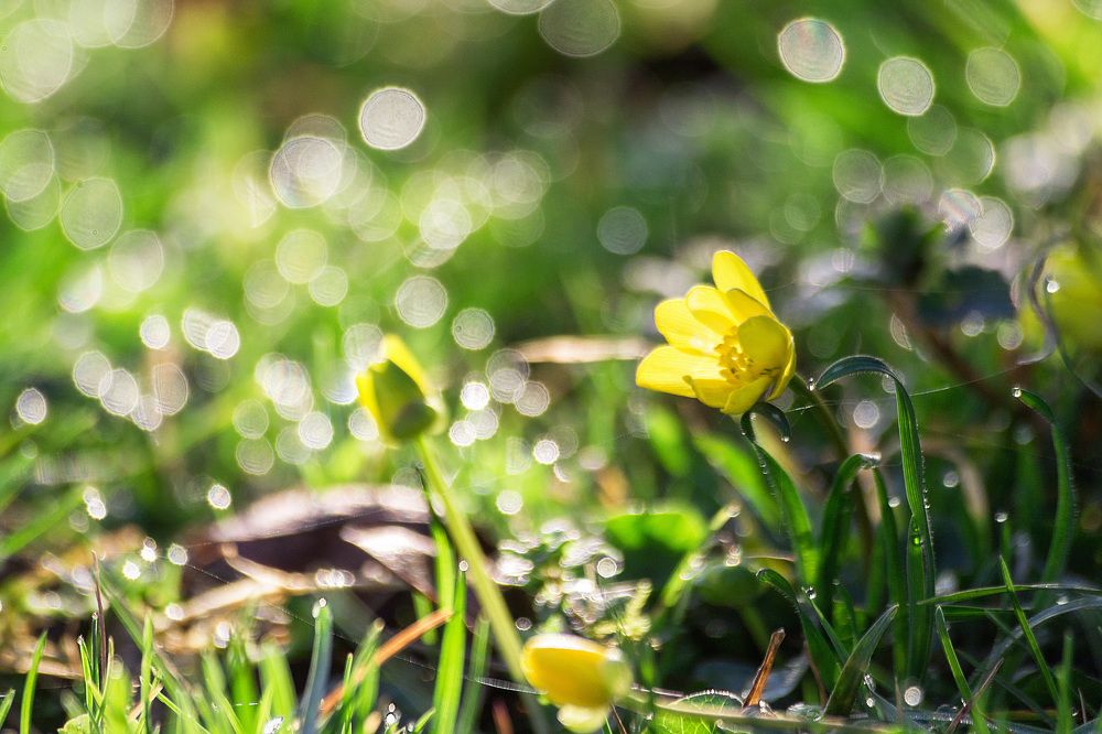 Photograph by Ольга Сельницына