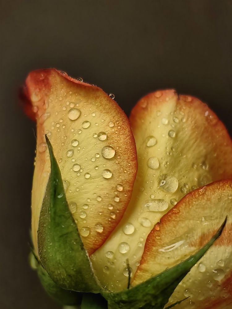 Photograph by Анна