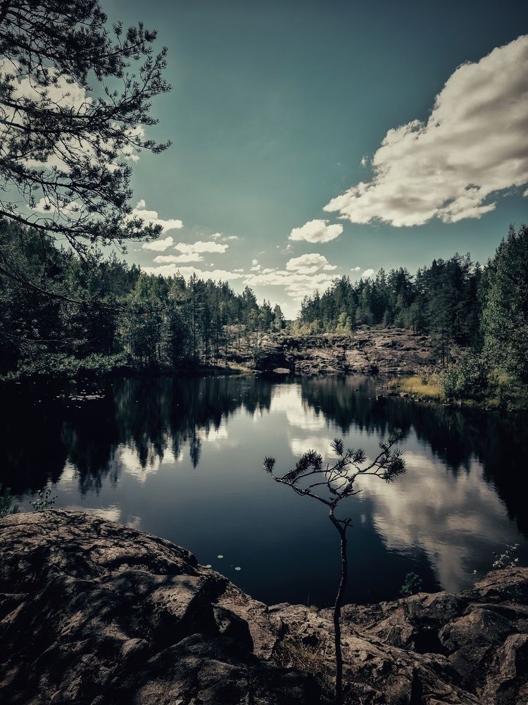 Photograph by Олеся Зеленщикова