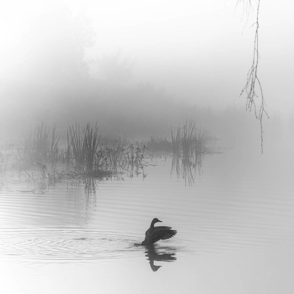 Photograph by Константин Гончаров