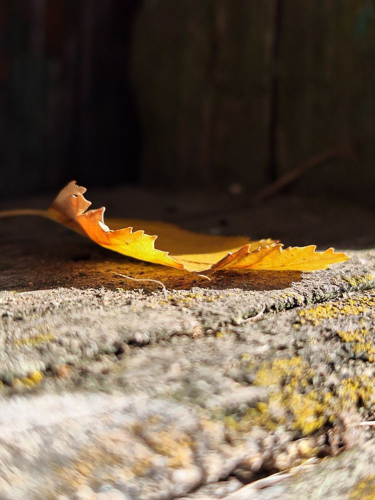 Photograph by Наталья Козырицкая