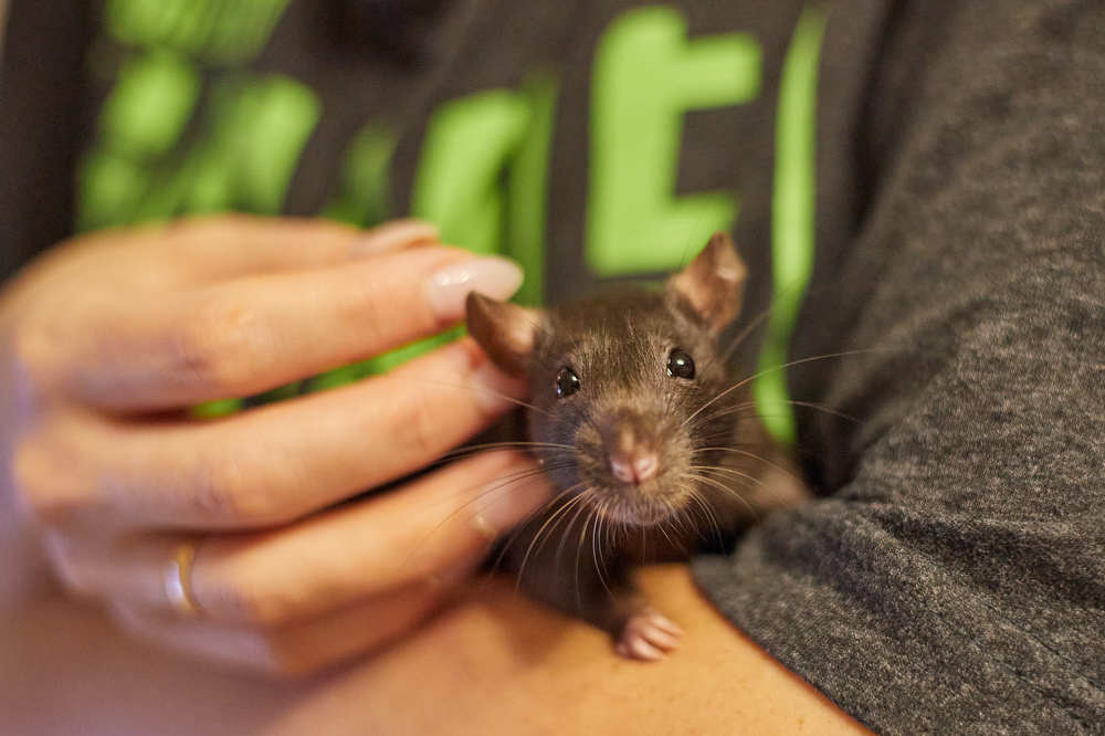 Фотография автора Дмитрий Смирнов