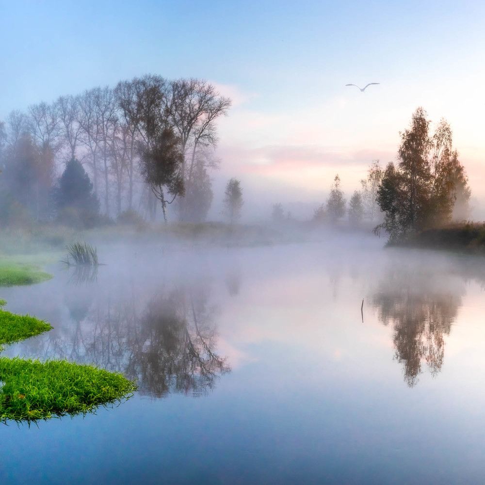 Photograph by Константин Гончаров