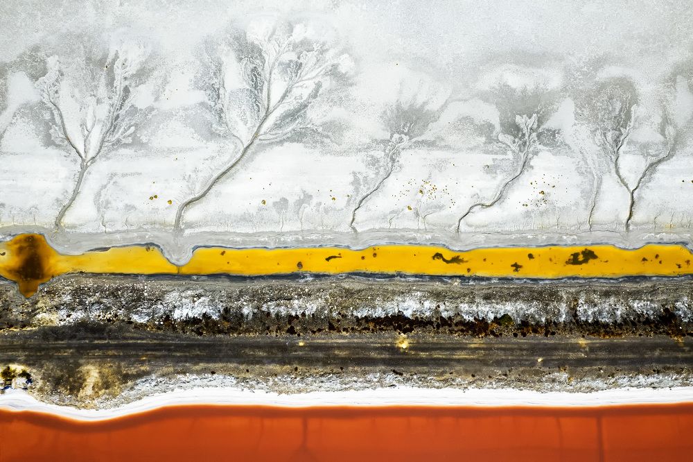 Фотография автора ESENGÜL ALICI