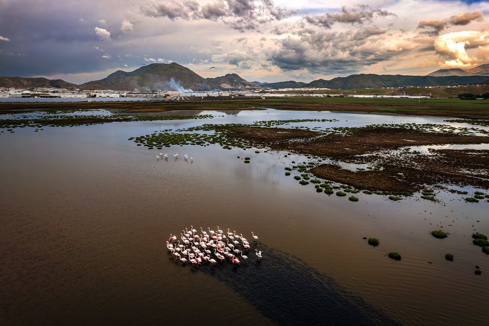 Фотография автора ESENGÜL ALICI