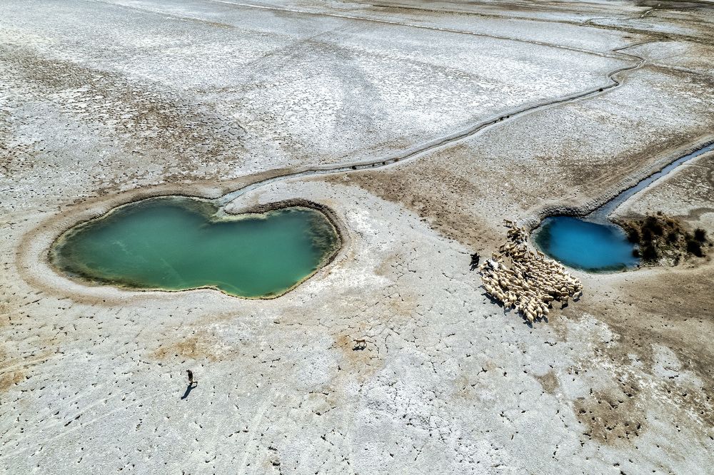 Фотография автора ESENGÜL ALICI