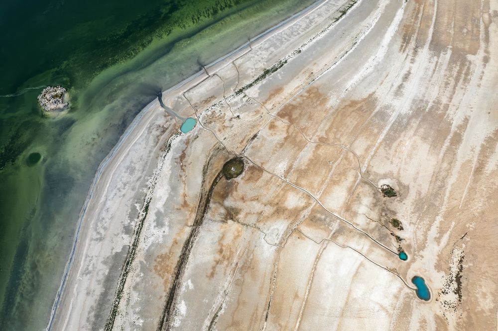 Фотография автора ESENGÜL ALICI