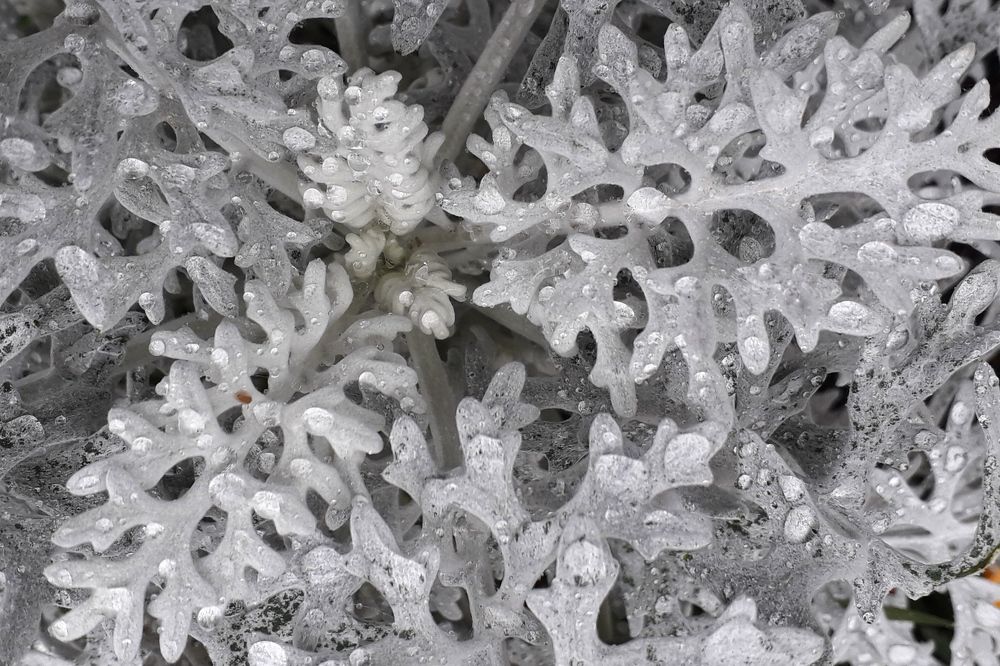 Photograph by Ольга Березовская