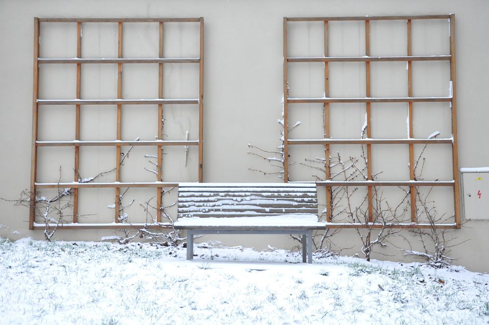 Photograph by Галина Лысых