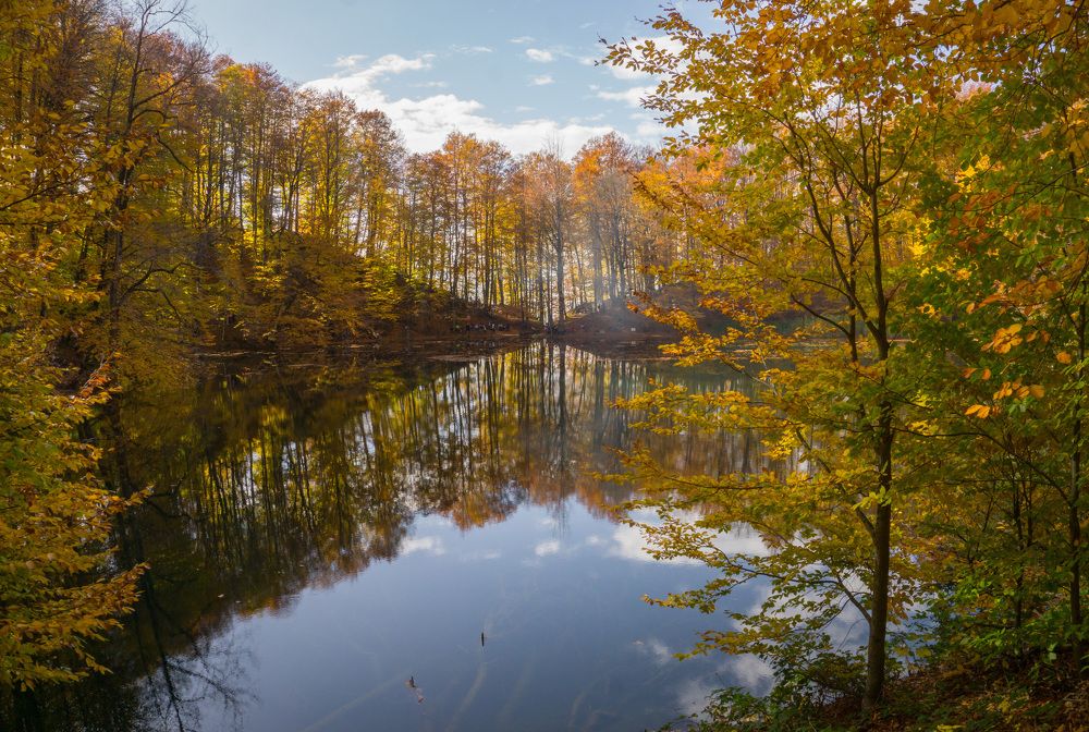 Photograph by Наталья Снеговая