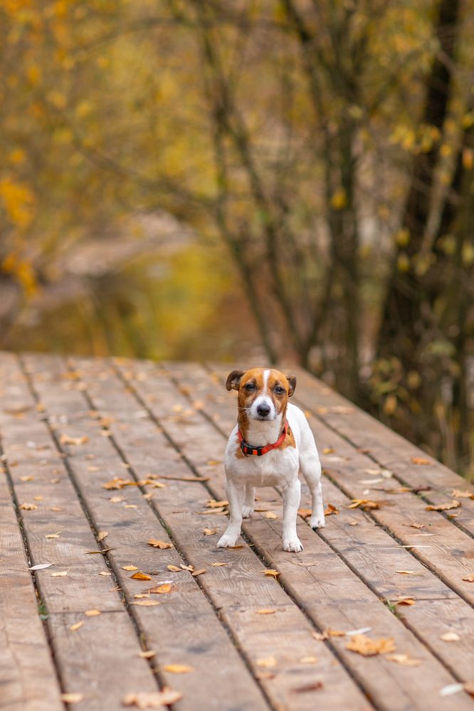 Photograph by Svetana Mertikova (Blinova)