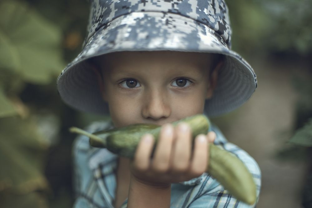 Photograph by Екатерина