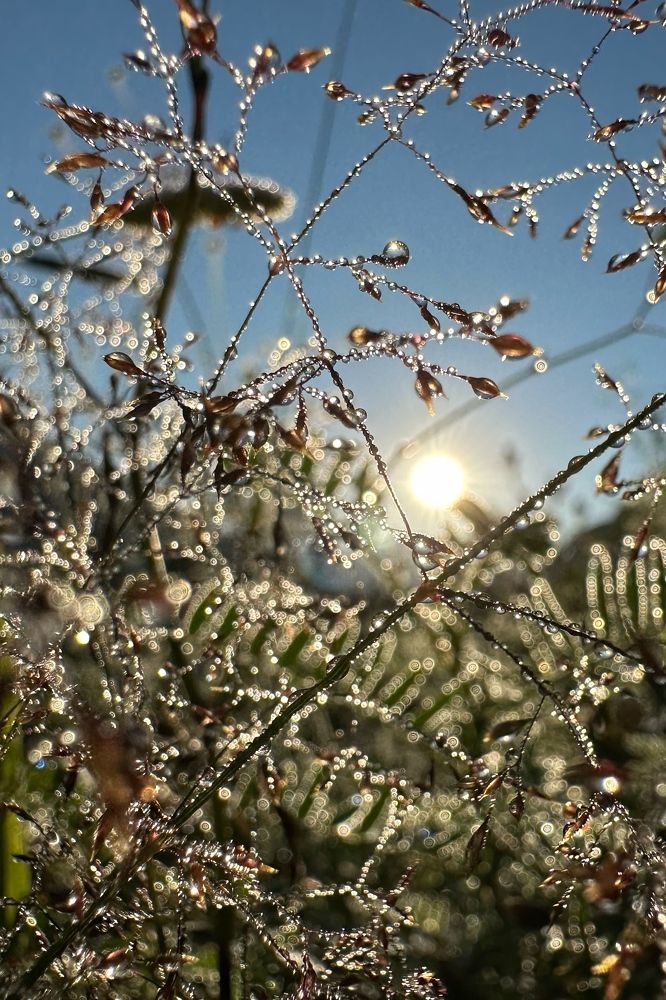 Photograph by Мария Алейникова