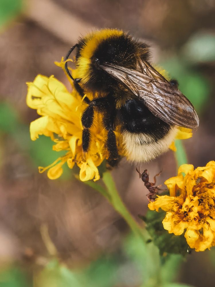 Photograph by Ivan Vetoshkin