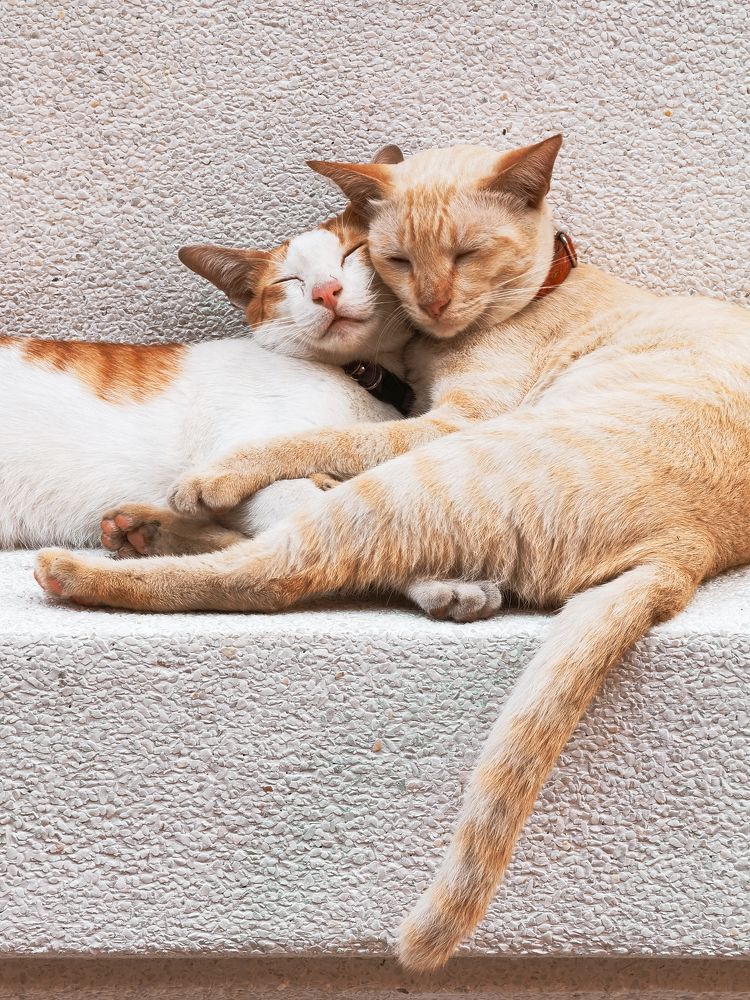 Photograph by Ivan Vetoshkin