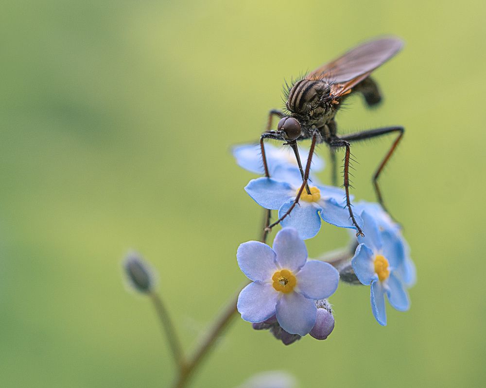 Photograph by LYUDMYLA POKRYSHEN
