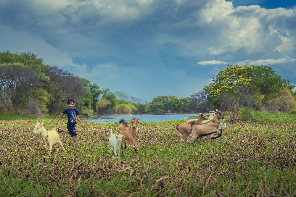 Photograph by Manikandan