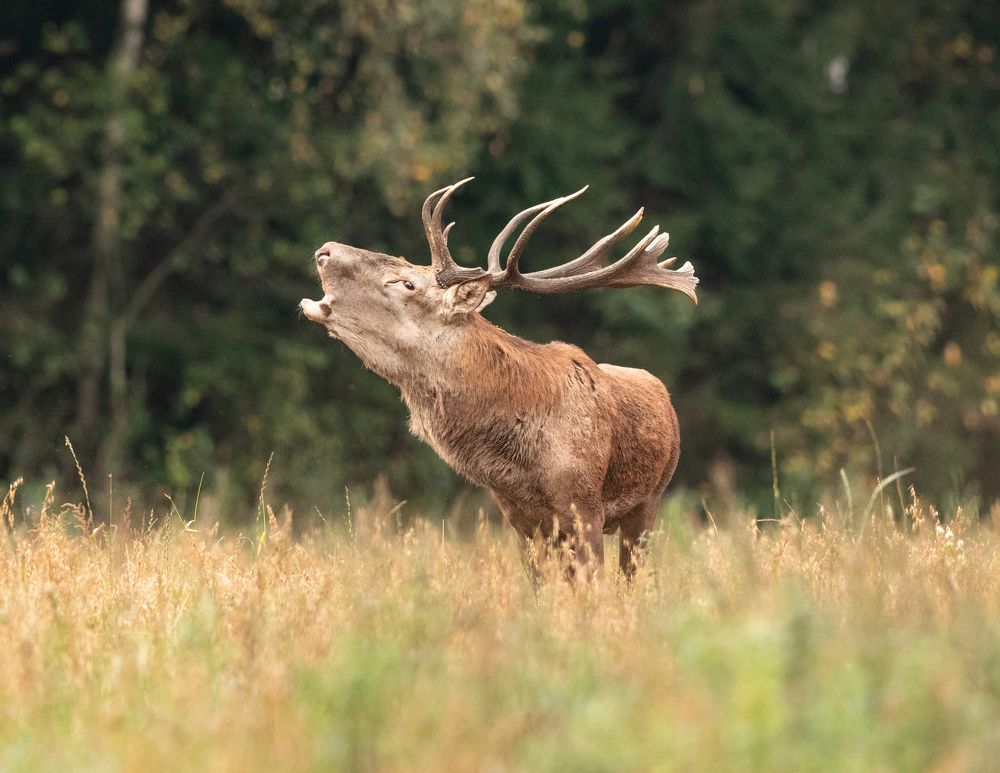Photograph by Vladimir Pakalevich