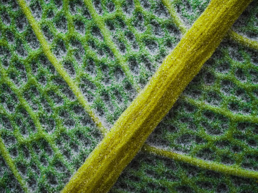 Photograph by Gevork Gukasyan