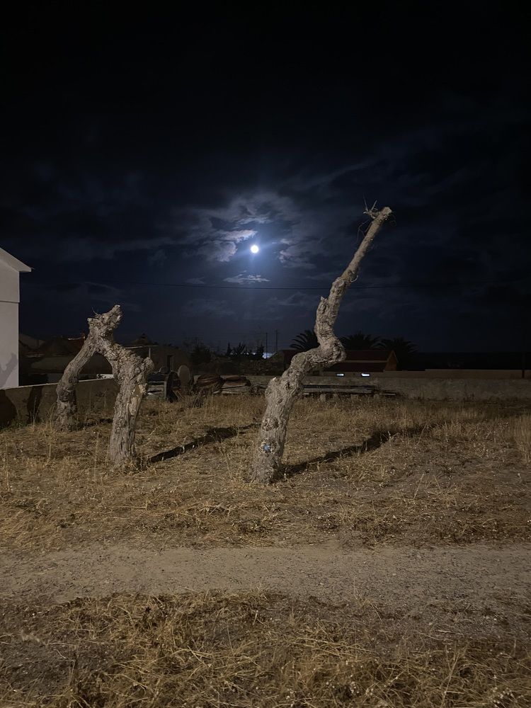 Фотография автора luisa santos