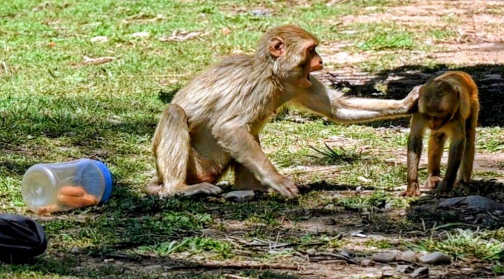 Photograph by Nirup Datta