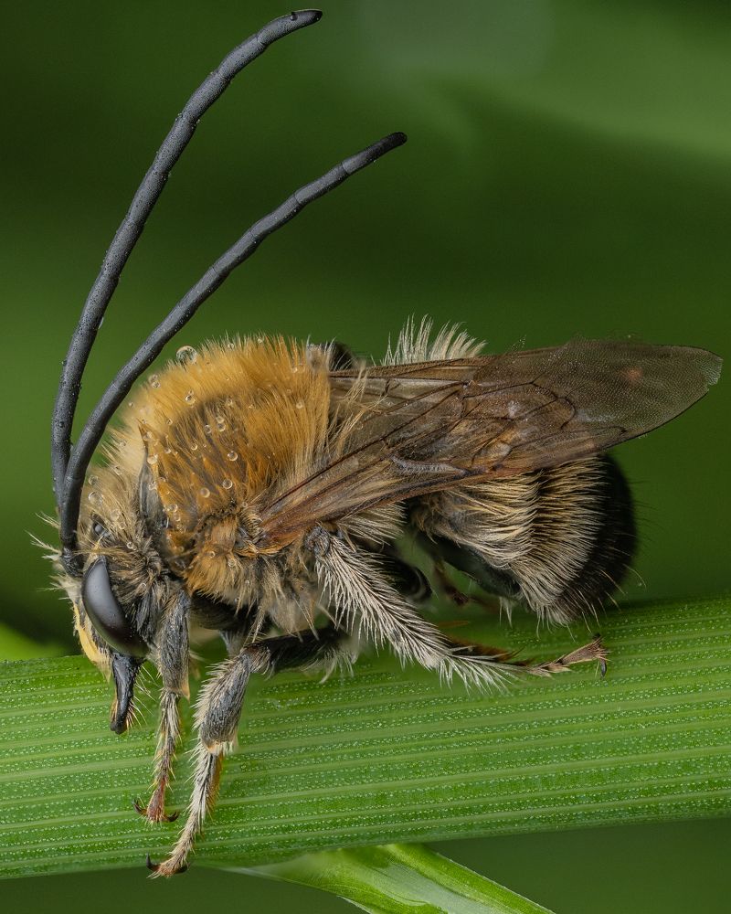 Photograph by Tilmann Schnyder