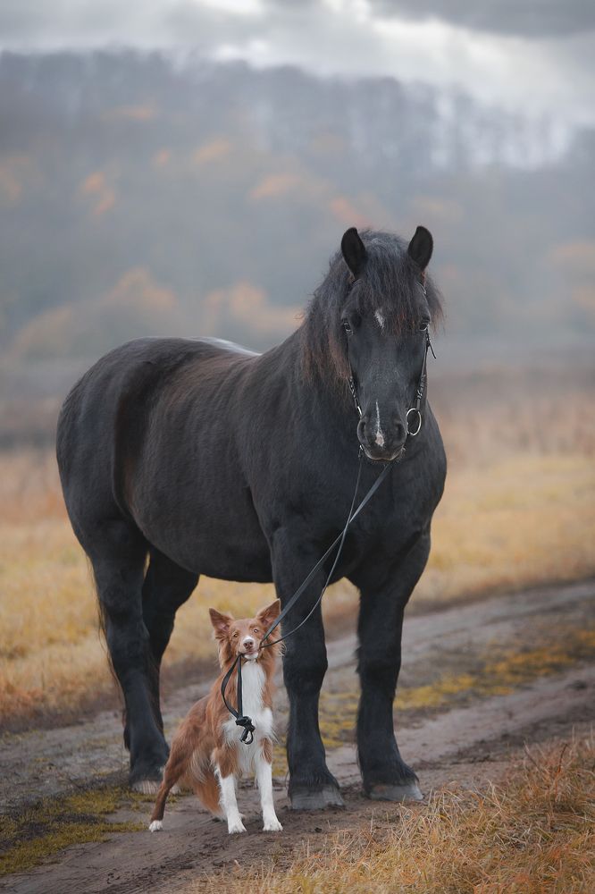 Photograph by Оксана Сироштан