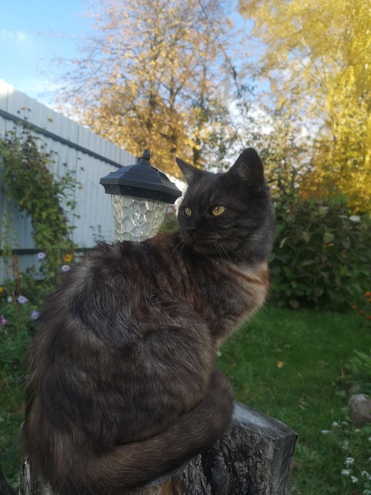 Photograph by Екатерина Борисовна Кузьмина