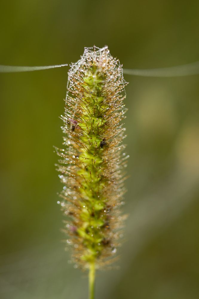 Фотография автора Светлана Зимина