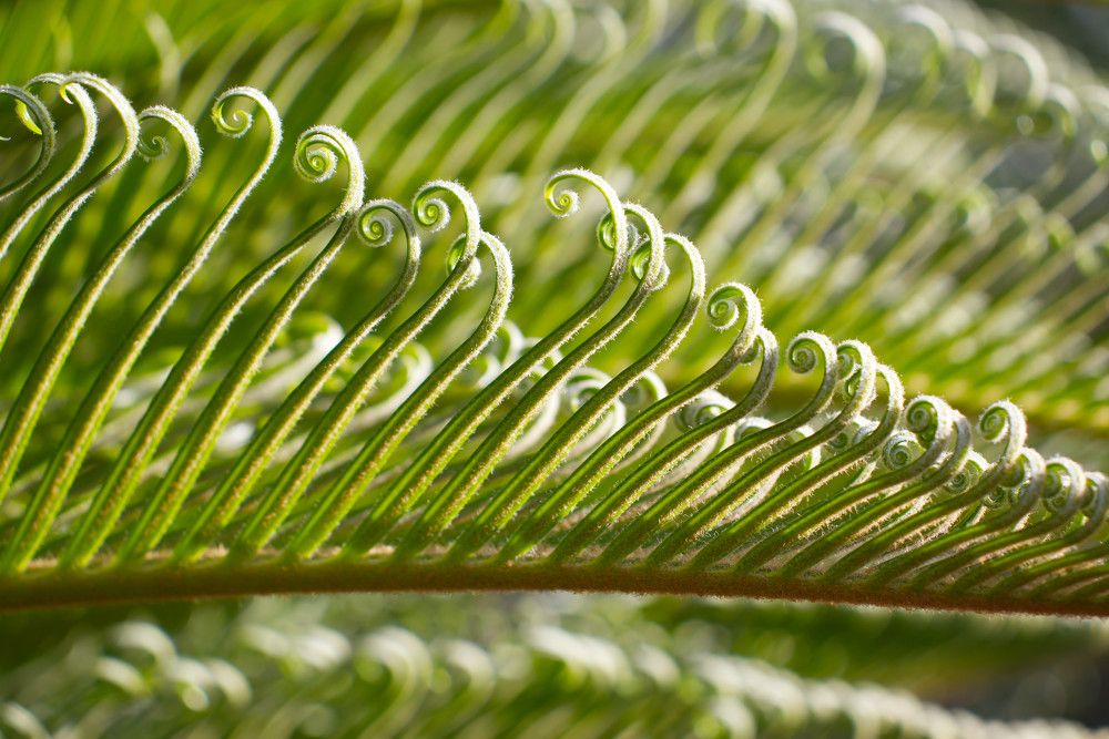 Photograph by Everton Medeiros