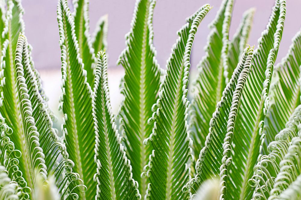 Photograph by Everton Medeiros