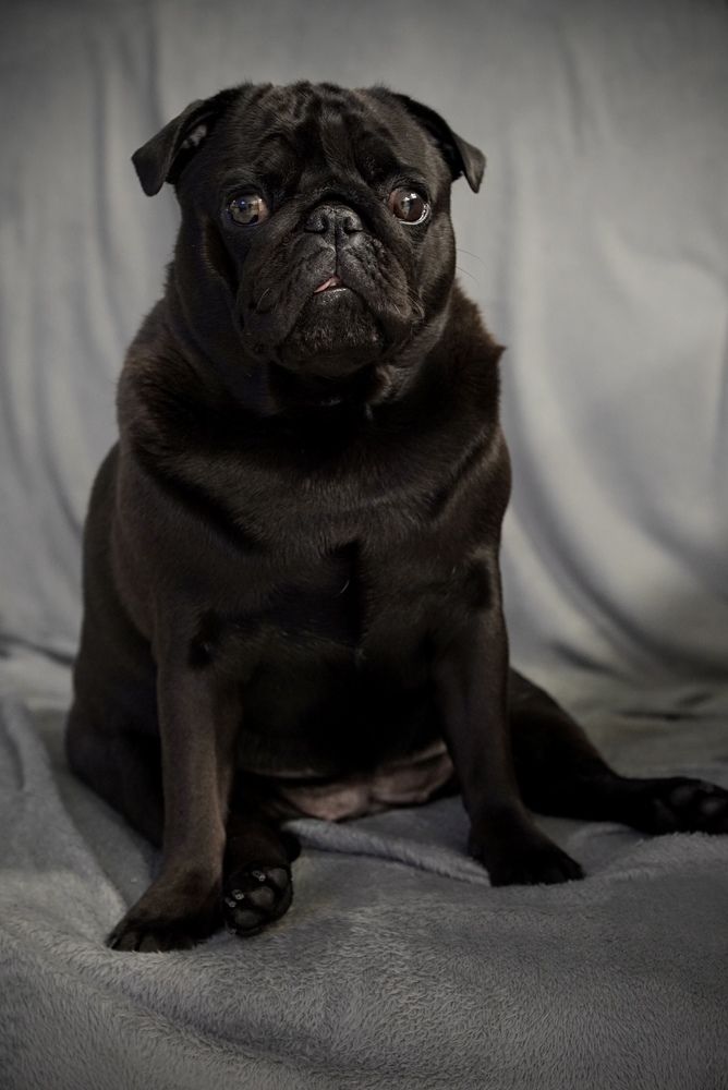 Photograph by Евгений Христолюбов