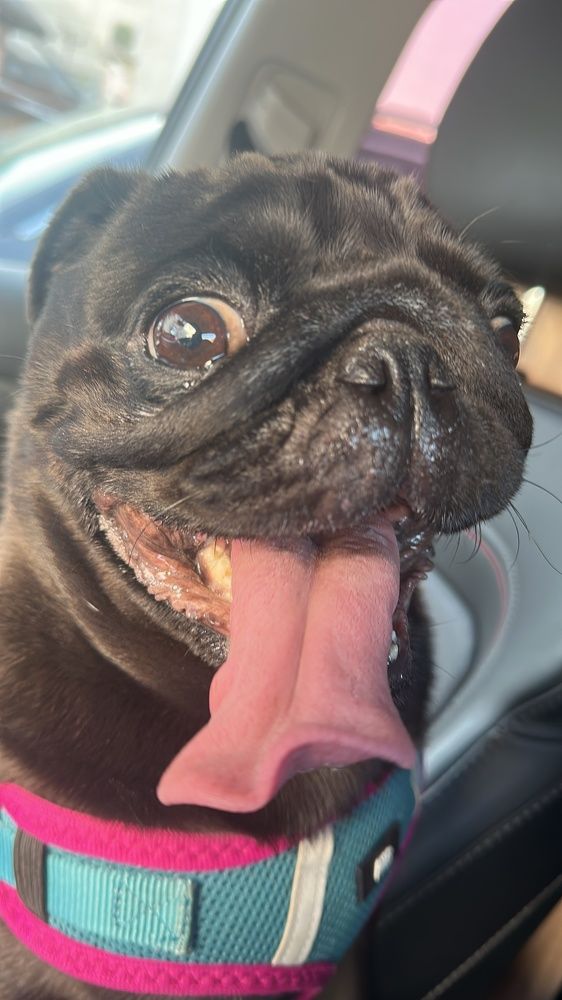 Photograph by Евгений Христолюбов