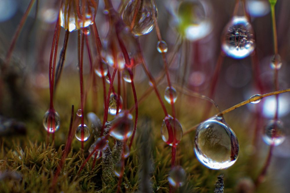 Photograph by Екатерина Першина