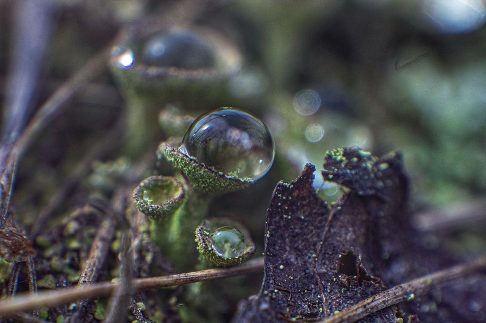 Photograph by Екатерина Першина