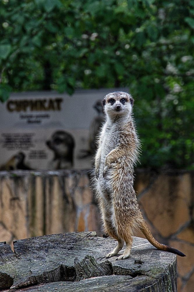 Photograph by Екатерина Першина