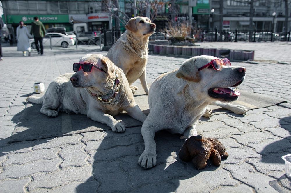 Photograph by Екатерина Першина