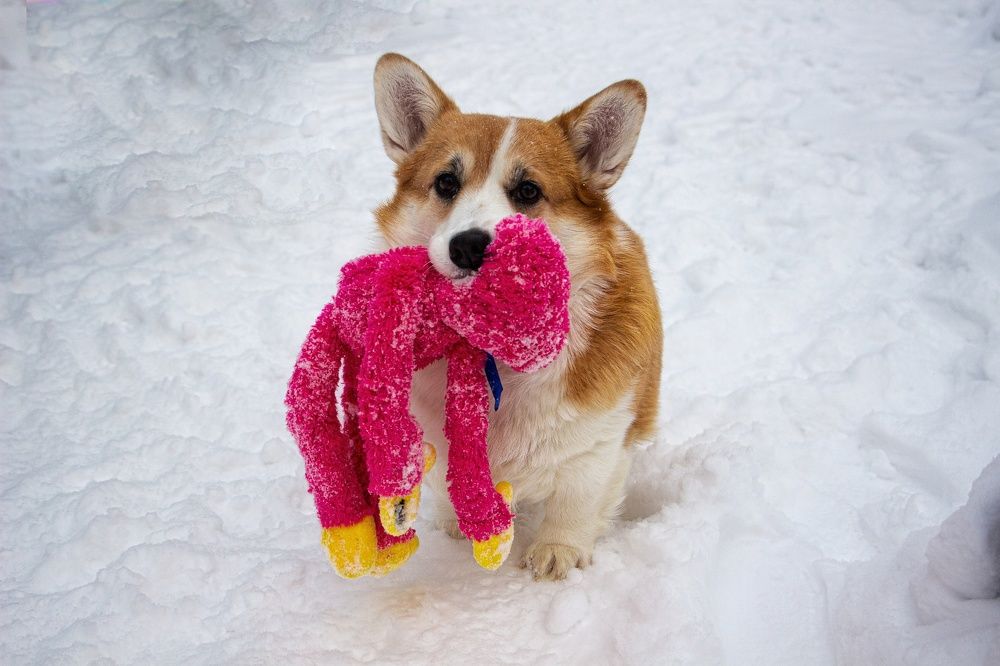 Photograph by Екатерина Першина