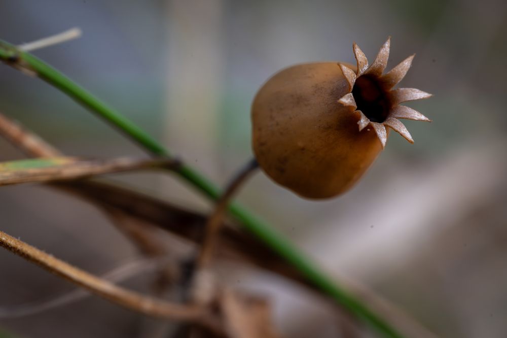 Фотография автора Дмитрий Referee