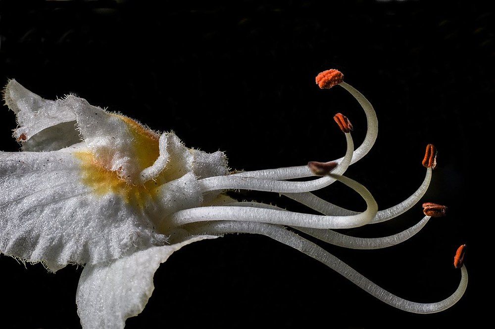 Photograph by Духанин Сергей