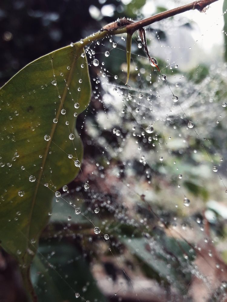Photograph by Shashwat Mishra