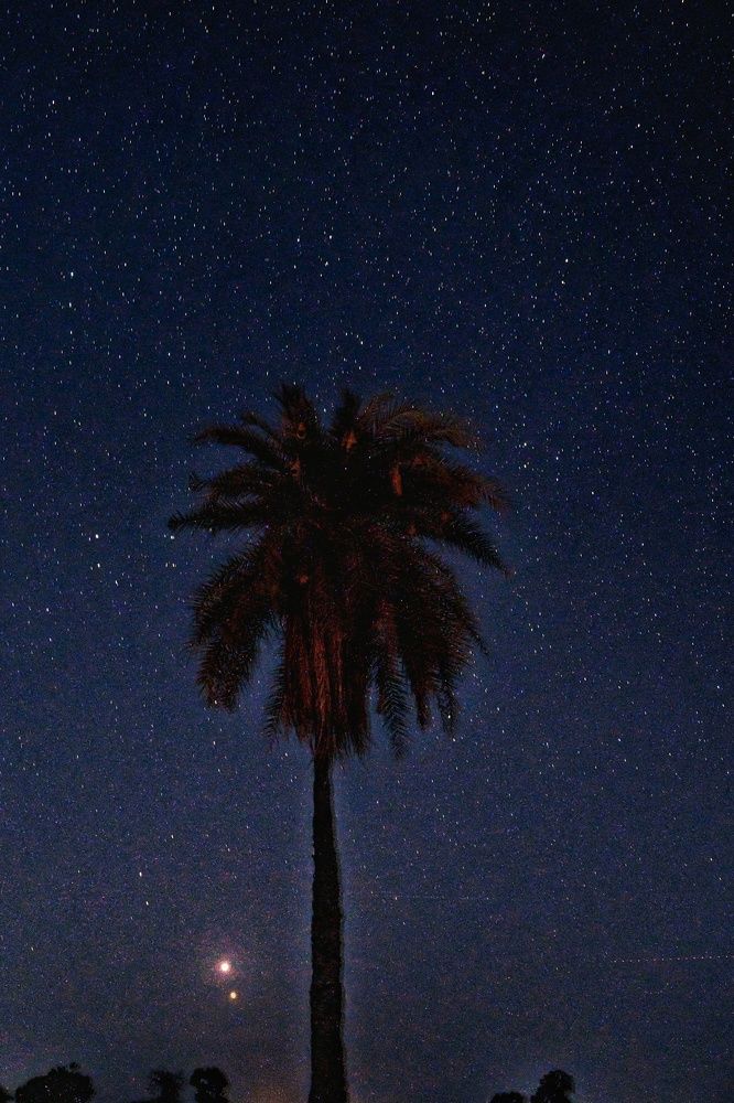 Photograph by kartik mittal