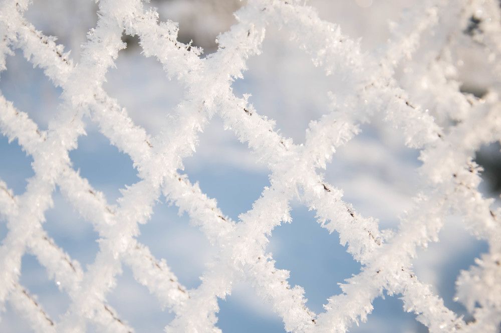 Photograph by Наталья Сорокина