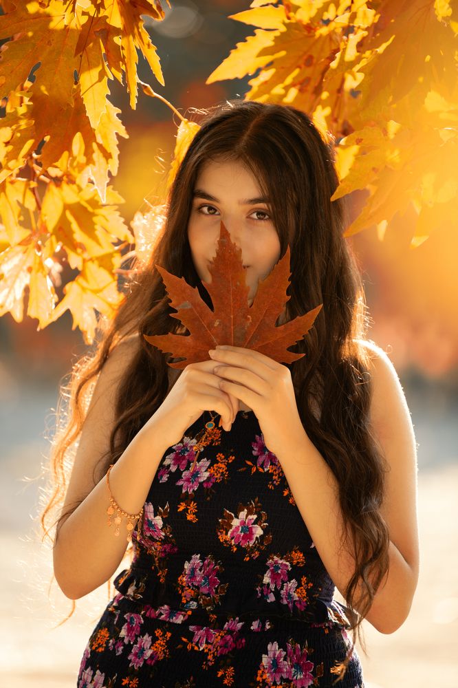 Фотография автора Jalal Ibrahim